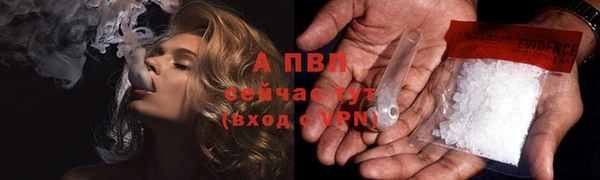 спайс Арсеньев