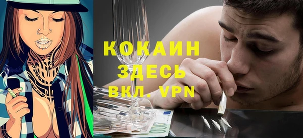 спайс Арсеньев
